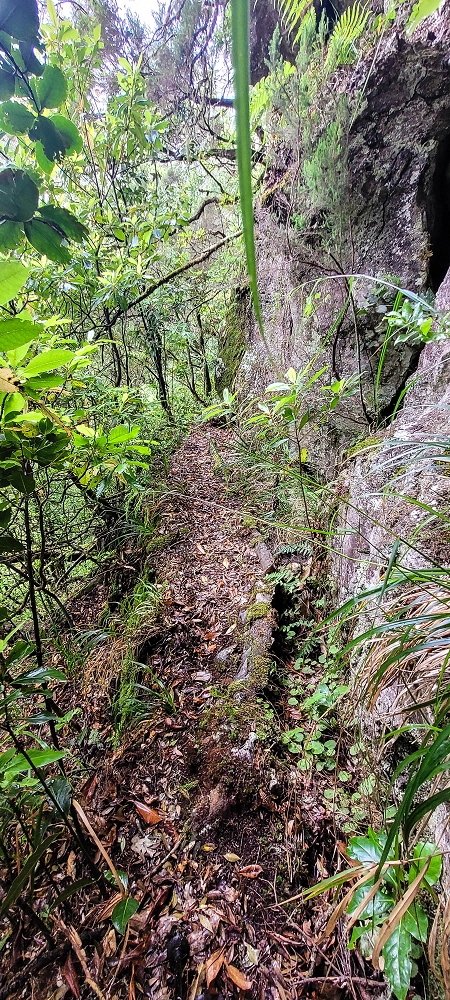 Levada Velha dos Cedros — Secção 2: A bela alvenaria — foto 1