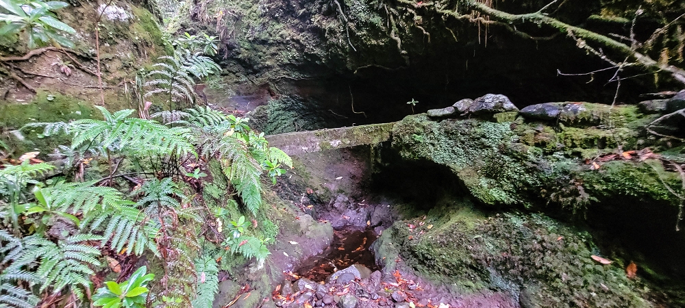 25.06.2022 Abenteuerliche Levada Velha dos Cedros — Vom Abstiegsweg zur Madre: Eindrückliche alte Levadaspuren — Foto 7