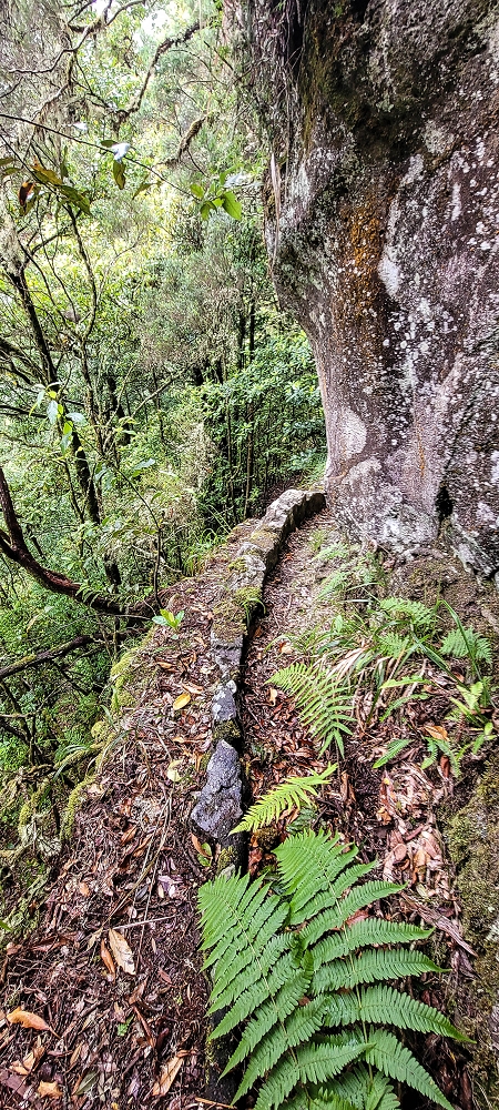 Levada Velha dos Cedros — Secção 2: A bela alvenaria — foto 5