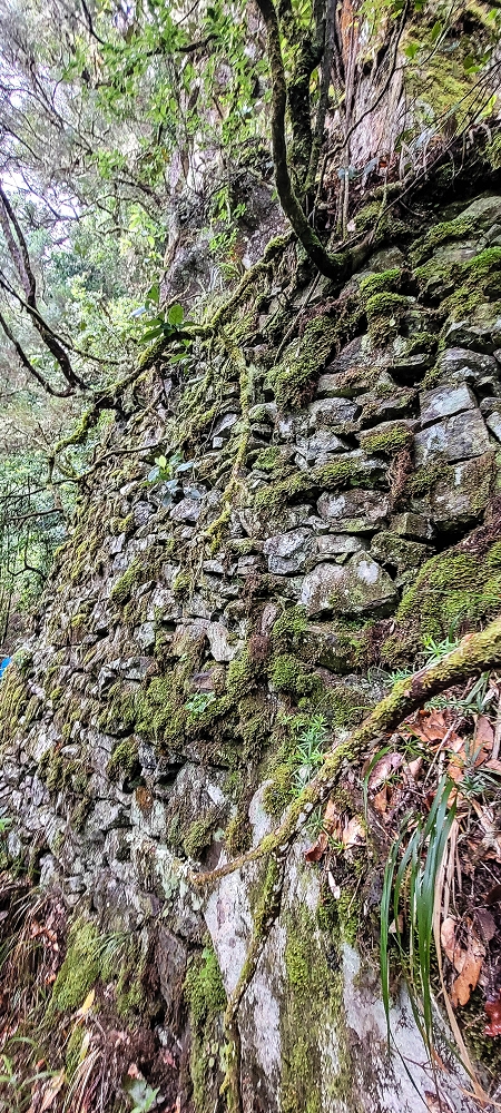 Levada Velha dos Cedros — Secção 2: A bela alvenaria — foto 6