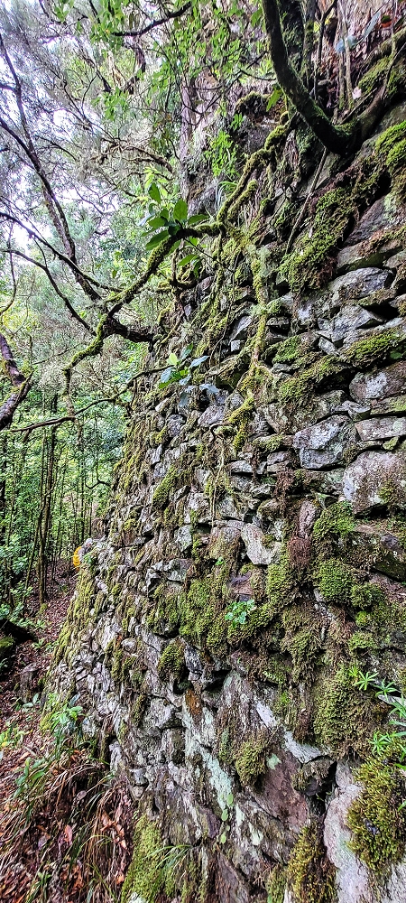 Levada Velha dos Cedros — Secção 2: A bela alvenaria — foto 7