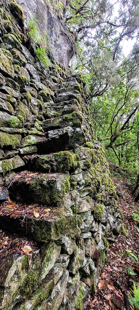 Levada Velha dos Cedros — Secção 2: A bela alvenaria — foto 8