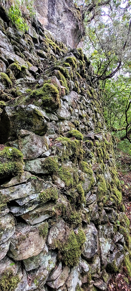 Levada Velha dos Cedros — Secção 2: A bela alvenaria — foto 9