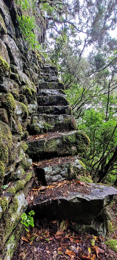 Levada Velha dos Cedros — Secção 2: A bela alvenaria — foto 10