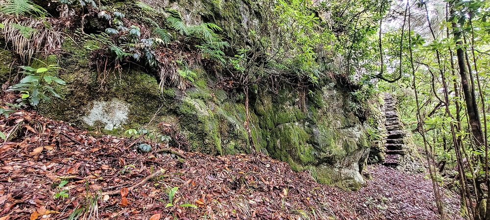 Levada Velha dos Cedros — Secção 2: A bela alvenaria — foto 11
