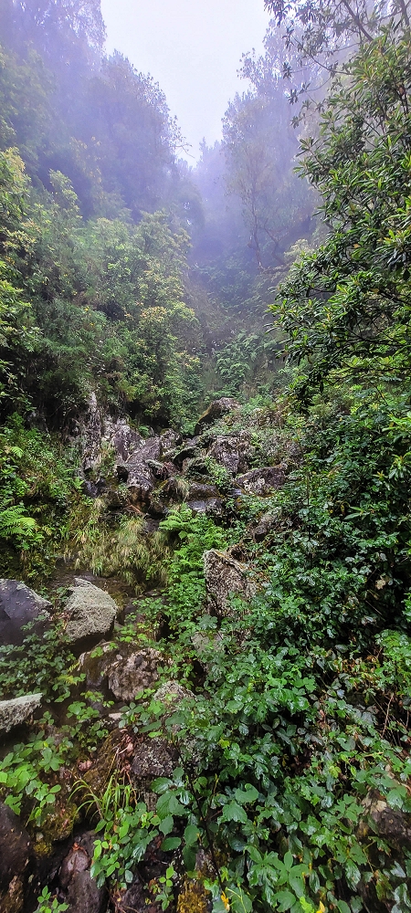 Levada Velha dos Cedros — Secção 2: Aventura até ao túnel — foto 9