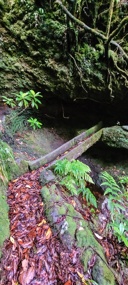 25.06.2022 Abenteuerliche Levada Velha dos Cedros — Vom Abstiegsweg zur Madre: Eindrückliche alte Levadaspuren — Foto 9