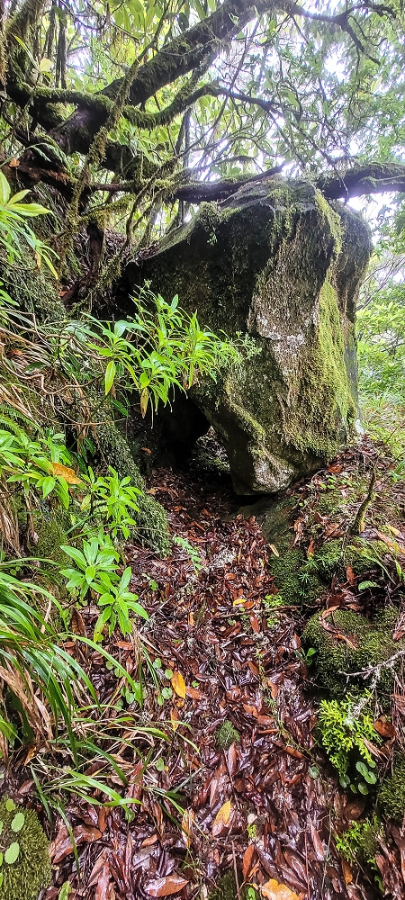 Levada Velha dos Cedros — Secção 2: Aventura até ao túnel — foto 14