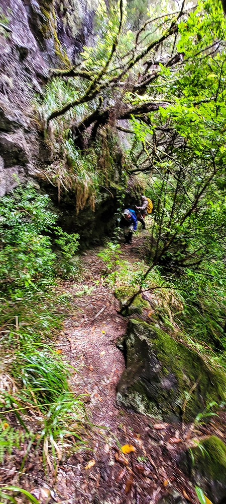 Levada Velha dos Cedros — Secção 2: Aventura até ao túnel — foto 16