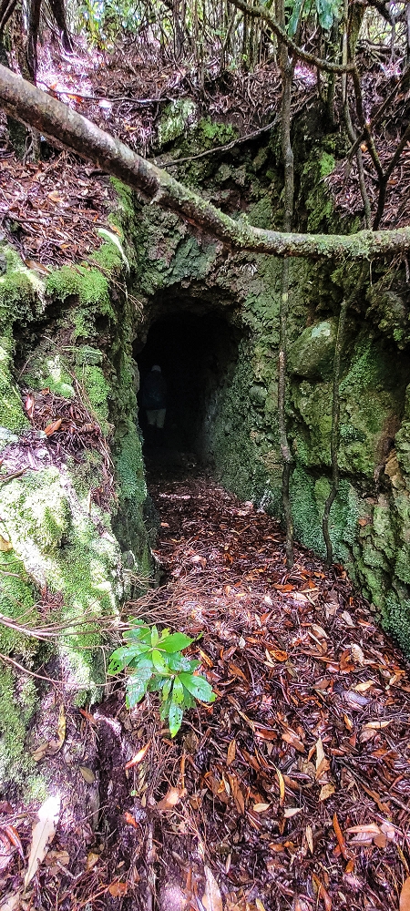 Levada Velha dos Cedros — Secção 2: O túnel curto sem saída — foto 1
