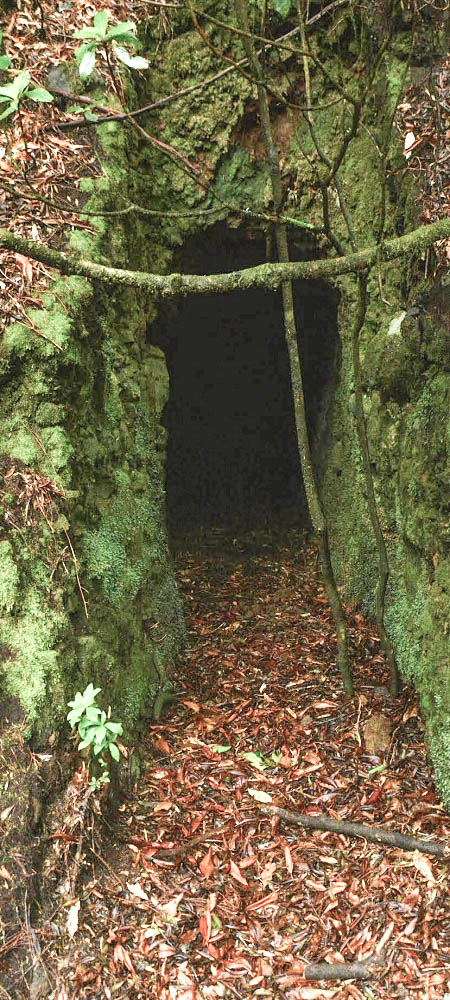 Levada Velha dos Cedros — Secção 2: O túnel curto sem saída — foto 2