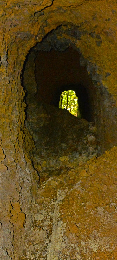 Levada Velha dos Cedros — Secção 2: O túnel curto sem saída — foto 4