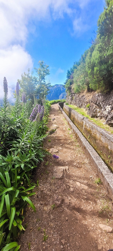 25.06.2024 Sonnige Abschlusswanderung auf der Levada das Rabacas — Bis zum kleinen Levadatunnel — Foto 5