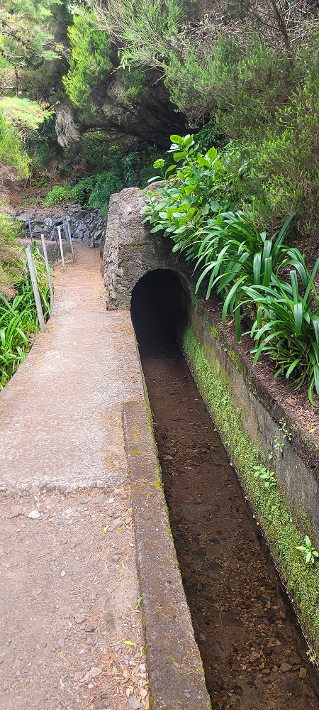 25.06.2024 Sonnige Abschlusswanderung auf der Levada das Rabacas — Bis zum kleinen Levadatunnel — Foto 7