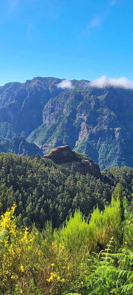 25.06.2024 Sonnige Abschlusswanderung auf der Levada das Rabacas — Bis zum kleinen Levadatunnel — Foto 9