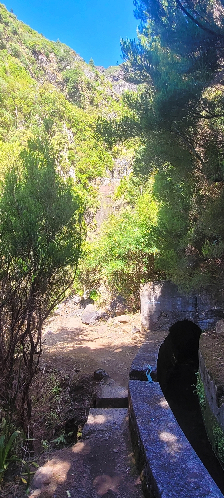 25.06.2024 Sonnige Abschlusswanderung auf der Levada das Rabacas — Bis zum kleinen Levadatunnel — Foto 11