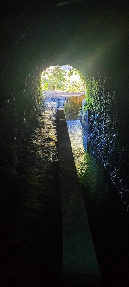 25.06.2024 Sonnige Abschlusswanderung auf der Levada das Rabacas — Bis zum kleinen Levadatunnel — Foto 12