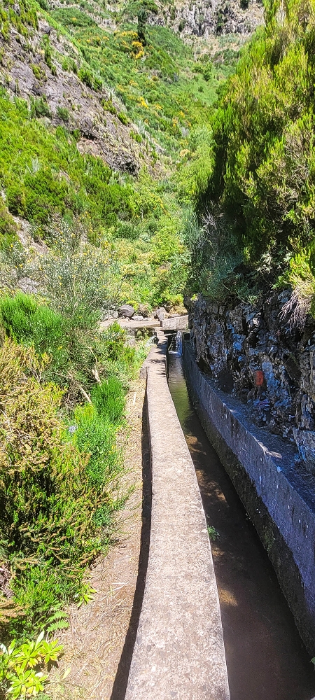 25.06.2024 Sonnige Abschlusswanderung auf der Levada das Rabacas — Weiter zum Ausgang des langen Rabacas-Tunnel — Foto 5