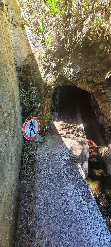 25.06.2024 Sonnige Abschlusswanderung auf der Levada das Rabacas — Weiter zum Ausgang des langen Rabacas-Tunnel — Foto 6