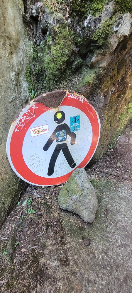 25.06.2024 Sonnige Abschlusswanderung auf der Levada das Rabacas — Weiter zum Ausgang des langen Rabacas-Tunnel — Foto 7