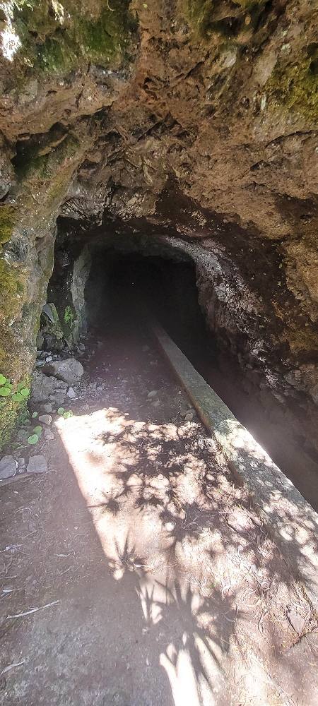 25.06.2024 Sonnige Abschlusswanderung auf der Levada das Rabacas — Weiter zum Ausgang des langen Rabacas-Tunnel — Foto 8