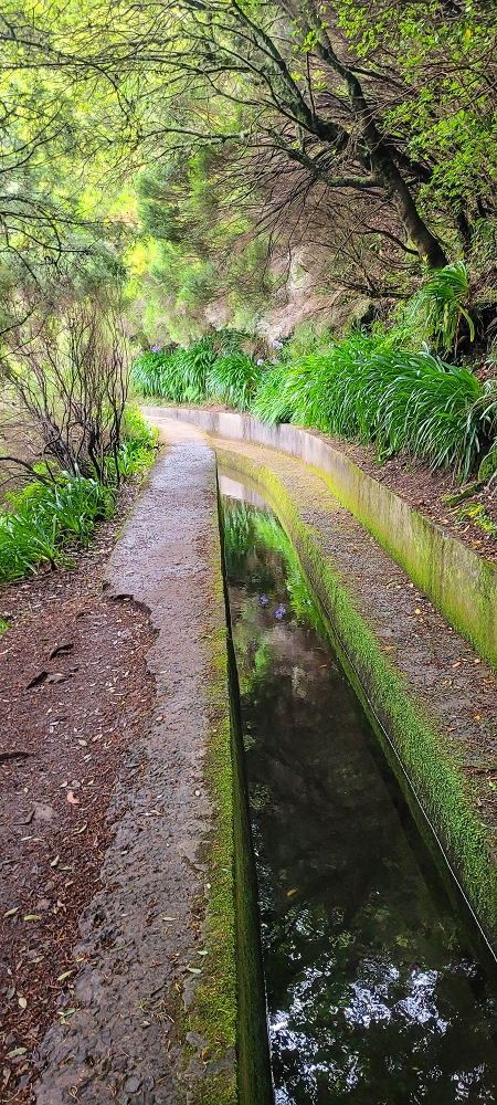 25.06.2024 Sonnige Abschlusswanderung auf der Levada das Rabacas — Bis zum kleinen Levadatunnel — Foto 1