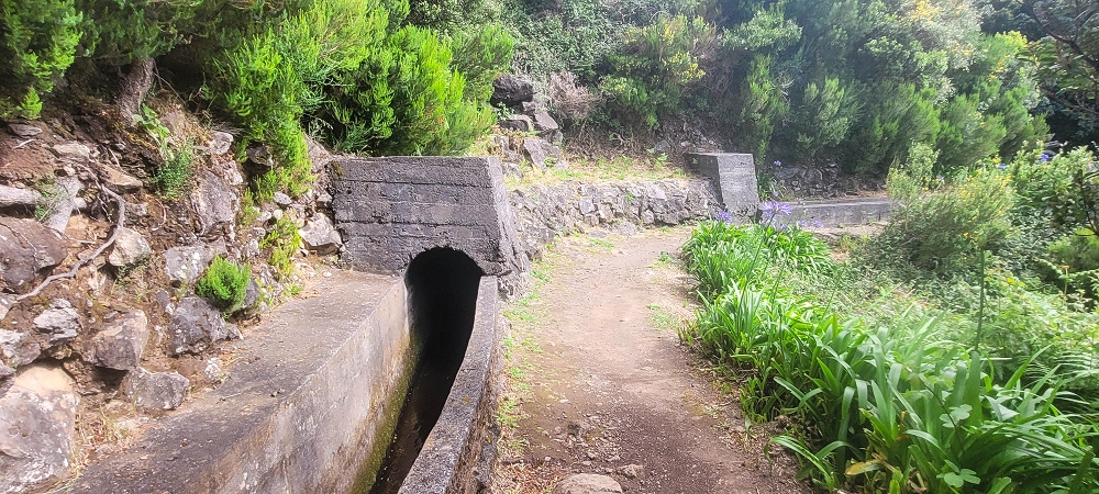 25.06.2024 Sonnige Abschlusswanderung auf der Levada das Rabacas — Bis zum kleinen Levadatunnel — Foto 2