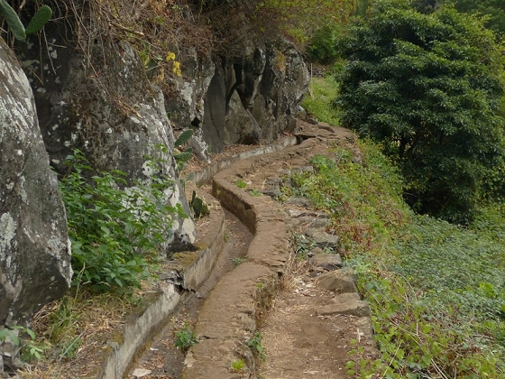25.07.2013 Levadas dos Tornos und do Bom Sucesso — Levada do Bom Sucesso — Foto 40