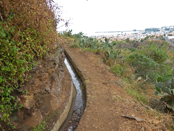 25.07.2013 Levadas dos Tornos und do Bom Sucesso — Levada do Bom Sucesso — Foto 42
