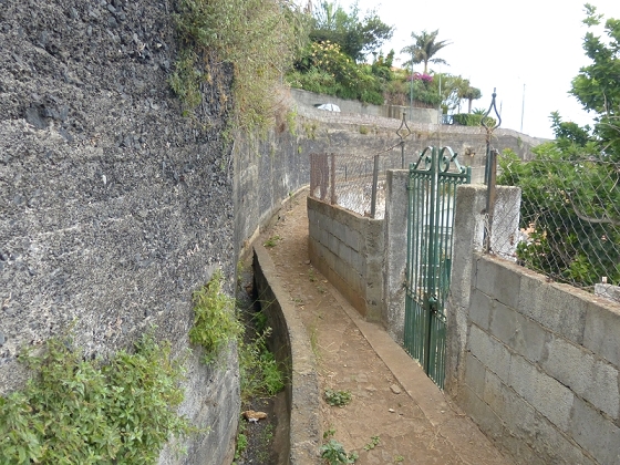25.07.2013 Levadas dos Tornos und do Bom Sucesso — Levada do Bom Sucesso — Foto 44