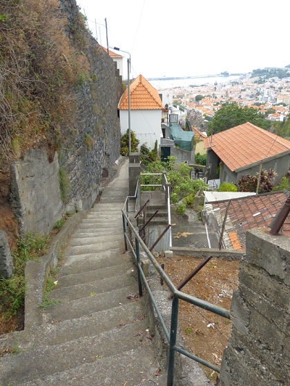 25.07.2013 Levadas dos Tornos und do Bom Sucesso — Abstieg nach Downtown Funchal — Foto 2