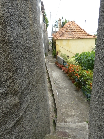 25.07.2013 Levadas dos Tornos und do Bom Sucesso — Abstieg nach Downtown Funchal — Foto 3