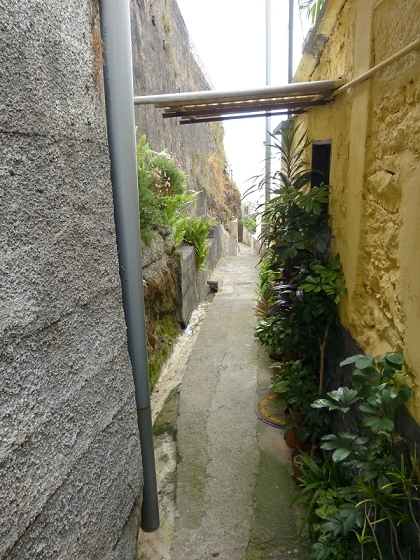 25.07.2013 Levadas dos Tornos und do Bom Sucesso — Abstieg nach Downtown Funchal — Foto 4