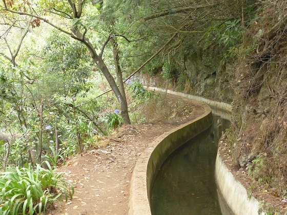25.07.2013 Levadas dos Tornos und do Bom Sucesso — Auf der Levada dos Tornos bis zum Monte-Tunnel — Foto 11