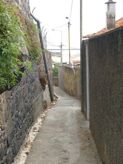 25.07.2013 Levadas dos Tornos und do Bom Sucesso — Abstieg nach Downtown Funchal — Foto 7