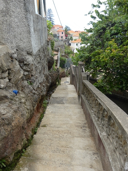 25.07.2013 Levadas dos Tornos und do Bom Sucesso — Abstieg nach Downtown Funchal — Foto 10