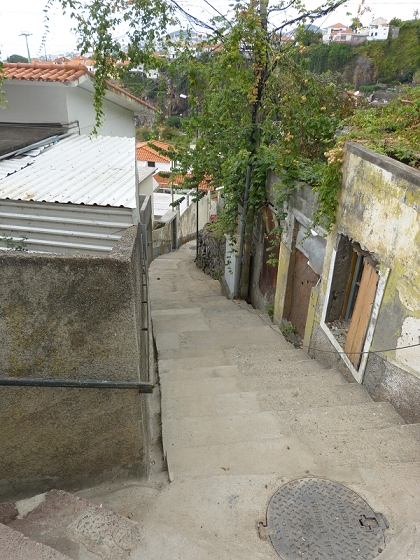 25.07.2013 Levadas dos Tornos und do Bom Sucesso — Abstieg nach Downtown Funchal — Foto 12