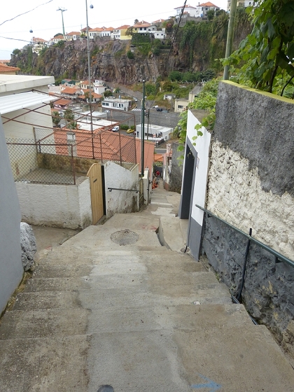 25.07.2013 Levadas dos Tornos und do Bom Sucesso — Abstieg nach Downtown Funchal — Foto 13