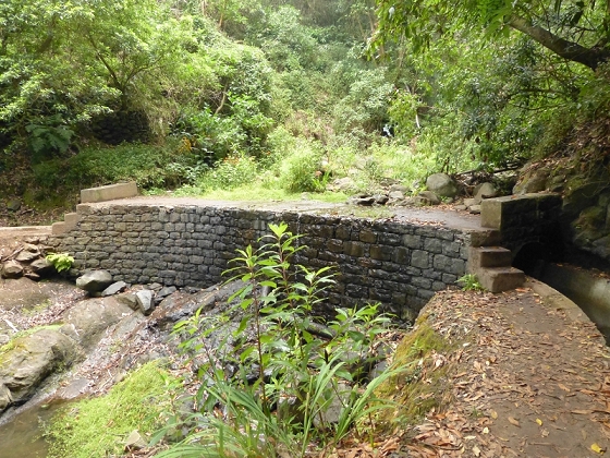 25.07.2013 Levadas dos Tornos und do Bom Sucesso — Auf der Levada dos Tornos bis zum Monte-Tunnel — Foto 12