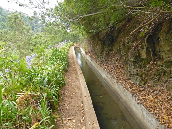 25.07.2013 Levadas dos Tornos und do Bom Sucesso — Auf der Levada dos Tornos bis zum Monte-Tunnel — Foto 14