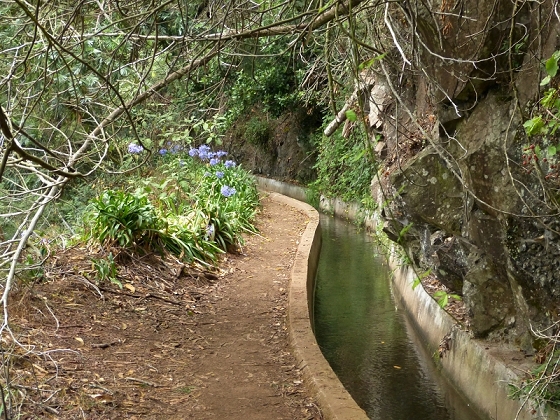 25.07.2013 Levadas dos Tornos und do Bom Sucesso — Auf der Levada dos Tornos bis zum Monte-Tunnel — Foto 16