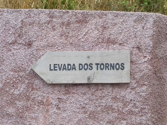 25.07.2013 Levadas dos Tornos und do Bom Sucesso — Auf der Levada dos Tornos bis zum Monte-Tunnel — Foto 24