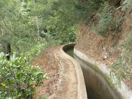25.07.2013 Levadas dos Tornos und do Bom Sucesso — Auf der Levada dos Tornos bis zum Monte-Tunnel — Foto 26