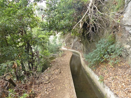 25.07.2013 Levadas dos Tornos und do Bom Sucesso — Auf der Levada dos Tornos bis zum Monte-Tunnel — Foto 29