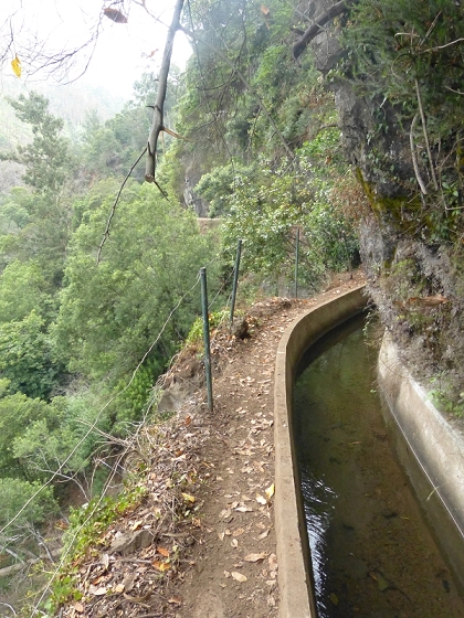 25.07.2013 Levadas dos Tornos und do Bom Sucesso — Auf der Levada dos Tornos bis zum Monte-Tunnel — Foto 31