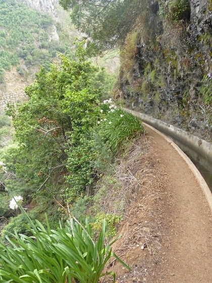 25.07.2013 Levadas dos Tornos und do Bom Sucesso — Auf der Levada dos Tornos bis zum Monte-Tunnel — Foto 34