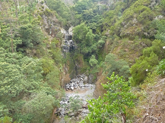 25.07.2013 Levadas dos Tornos und do Bom Sucesso — Auf der Levada dos Tornos bis zum Monte-Tunnel — Foto 35