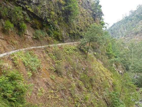 25.07.2013 Levadas dos Tornos und do Bom Sucesso — Auf der Levada dos Tornos bis zum Monte-Tunnel — Foto 37