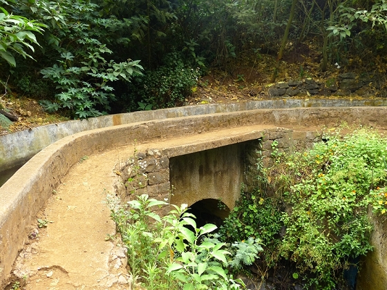 25.07.2013 Levadas dos Tornos und do Bom Sucesso — Auf der Levada dos Tornos bis zum Monte-Tunnel — Foto 4