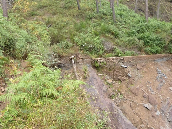 25.07.2013 Levadas dos Tornos und do Bom Sucesso — Abstieg zur Levada do Bom Sucesso — Foto 2